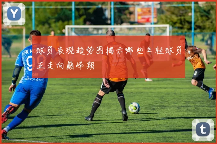 球员表现趋势图揭示哪些年轻球员正走向巅峰期